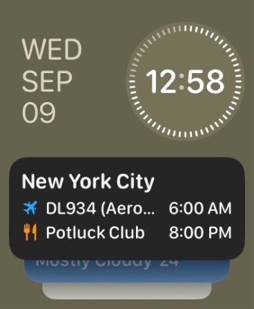 Tripsy Apple Watch screenshot 1