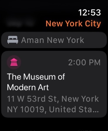 Tripsy Apple Watch screenshot 5