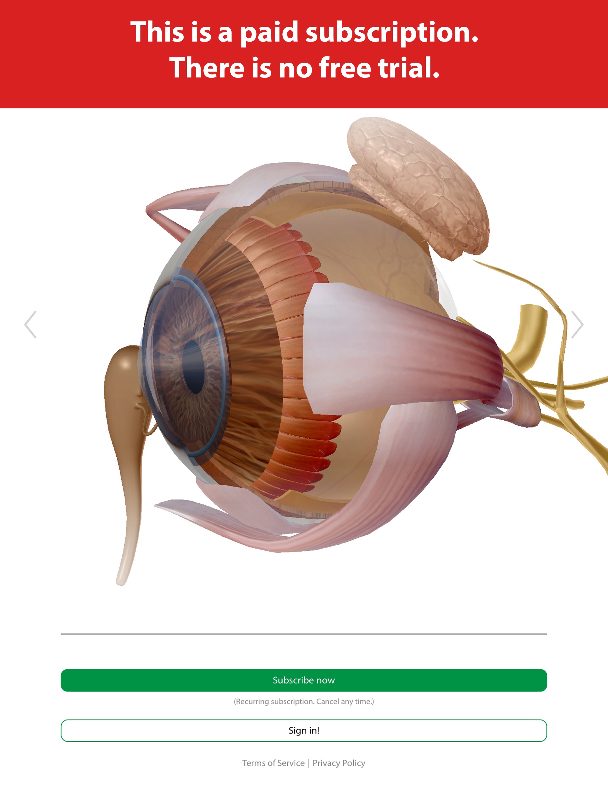 Visible Body Suite iPad screenshot 3