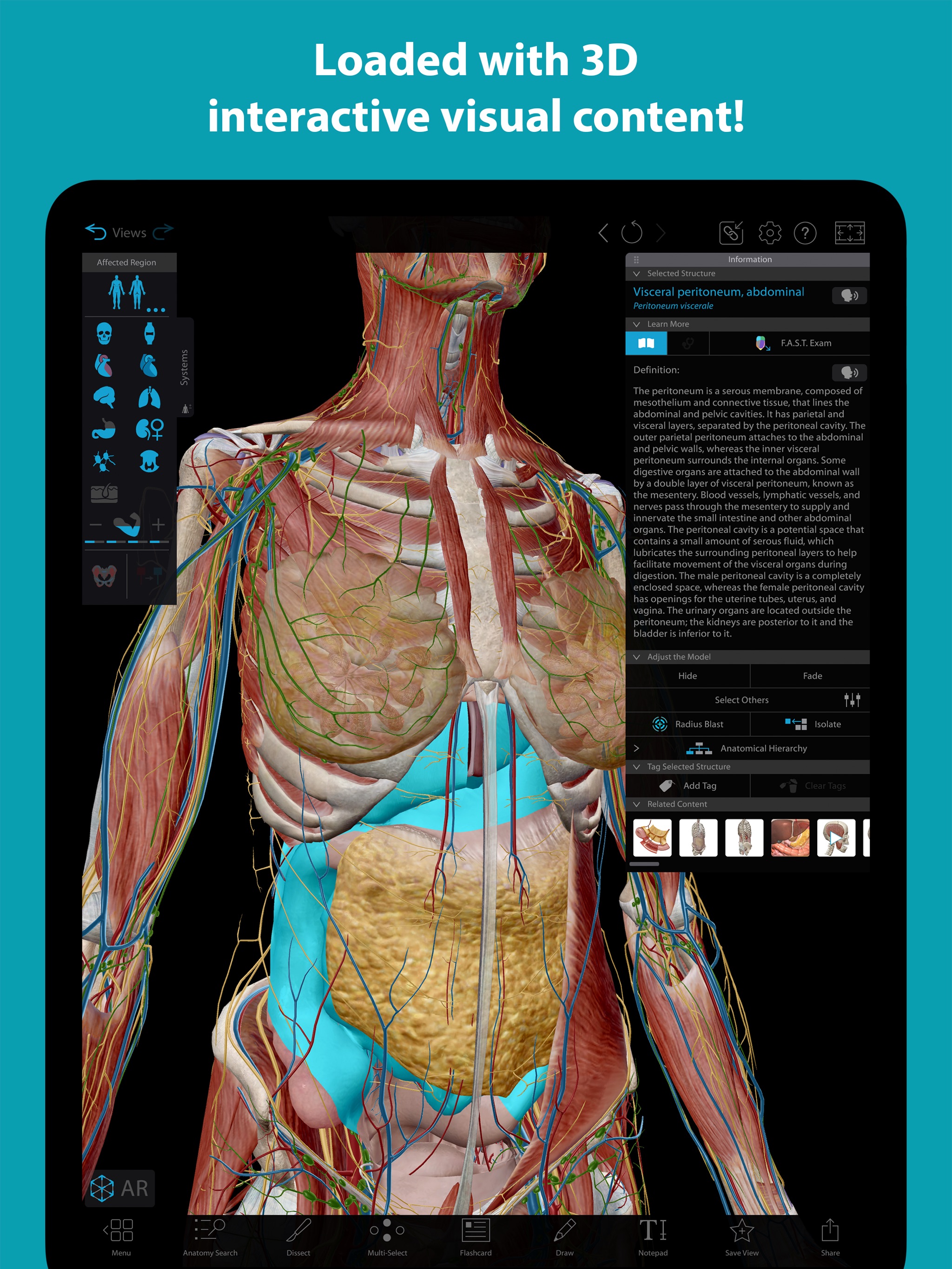 Visible Body Suite iPad screenshot 4