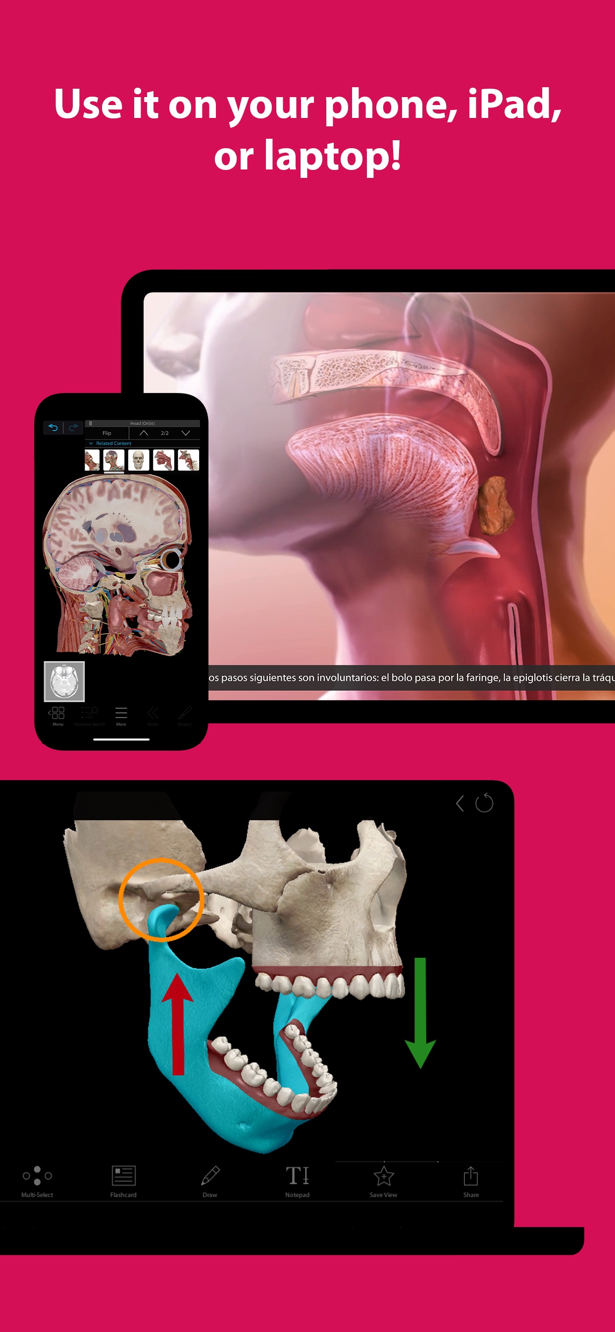 Visible Body Suite iPhone screenshot 6
